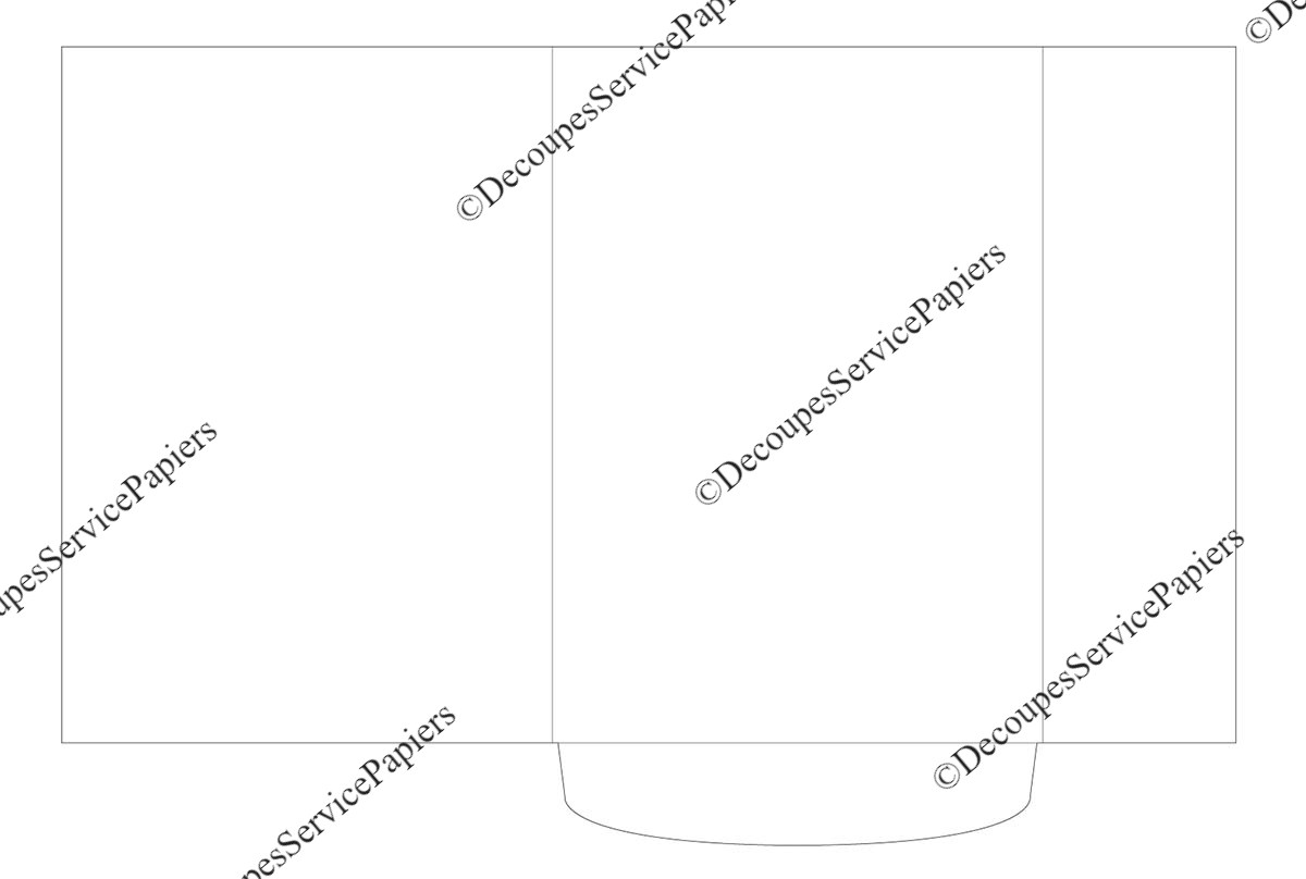 CHEMISE F 153 X 217 O 366 X 250.jpeg